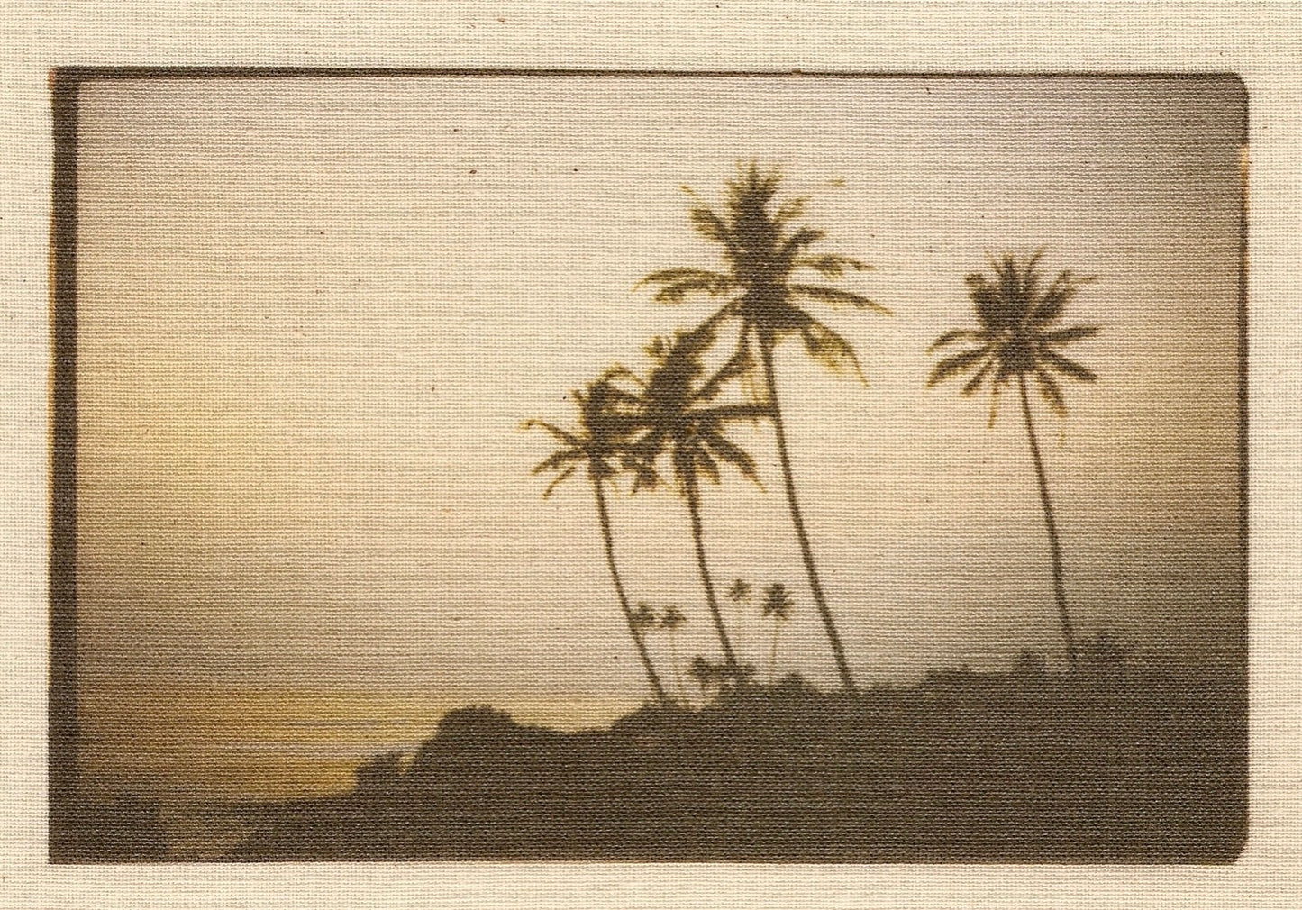 LÁMINA REVELADO ALGODÓN 10/14